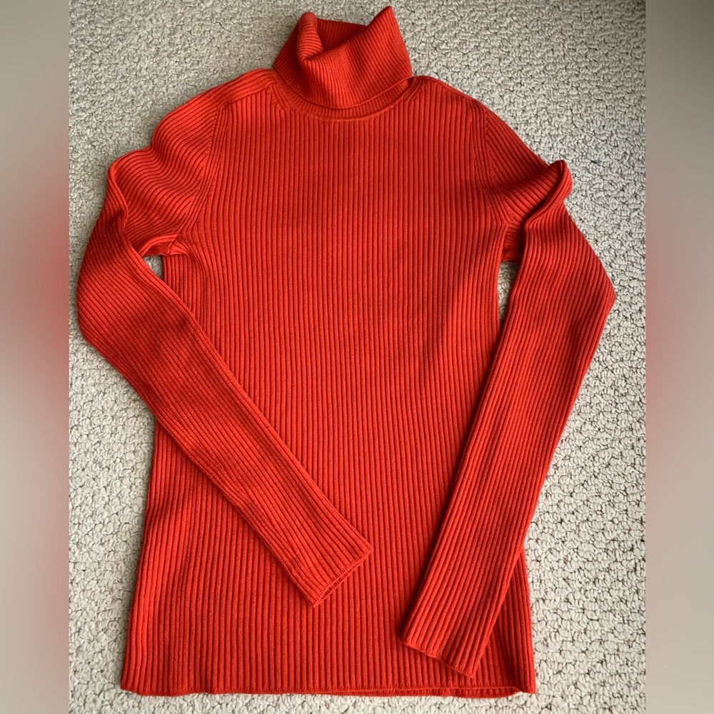 Everlane The Italian Merino Rib Turtleneck